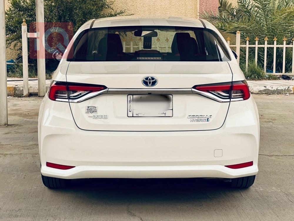 تويوتا كورولا